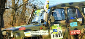 Концерты, цирк, ужасы и гонки на джипах - афиша на выходные