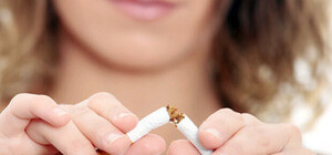 В центре Донецке высадили 