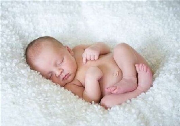 Рожать, рожать и еще раз рожать. Фото с сайта: uralpress.ru.