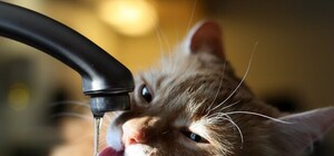 В Донецке снова ограничена подача воды: повреждена насосная станция