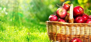 Отмечаем Яблочный Спас 2014: традиции и приметы праздника