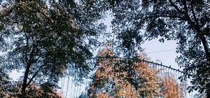 День города: Программа празднования 220-летия Одессы на сегодня