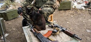 Герои Песок: одессит побывал на передовой и снял документалку о войне