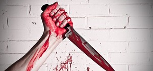 Двойное убийство в Одессе: гость, расправившийся с семейной парой, получил пожизненное