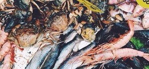 Это цимес: в одном из колоритных дворов Одессы устроят фестиваль еды