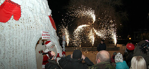 В Одессе у Дюка открыли вязаную Арт-елку с приемной Деда Мороза