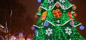 Новый год на Думской площади в Одессе: когда начинается концерт и кто выступает