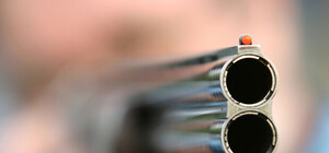 В пригороде Одессы совершено тройное убийство: стрелок сам сдался милиции