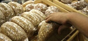 Отримай відповідь: чи буде хліб коштувати 10 гривень