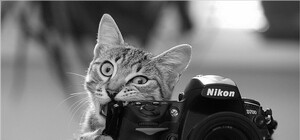 Только дебюты и премьеры: в Одессе состоится фестиваль актуального искусства