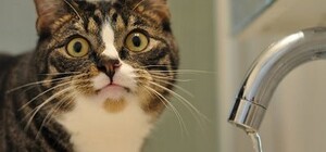 Авария: жители спального района Одессы осталась без воды