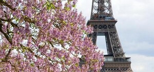 Не  пропустіть: у  Львові стартував фестиваль 