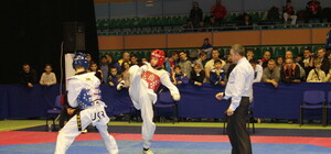 Тхэквондист Илья Кулик привез 