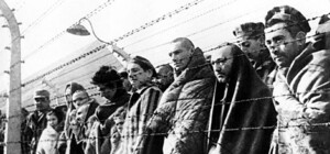 Вот это да: В Запорожье обнаружены останки советского концлагеря (ФОТО)