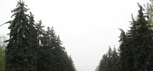 Что сейчас происходит на Куликовом поле в Одессе: сотни силовиков и десятки 