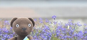 Прочитано о Харькове: что пишут и говорят о городе утром 10 июля