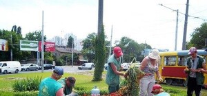 Звери в городе: на одесских клумбах появились фигуры из цветов