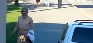 По Московскому проспекту прогуливался голый мужчина