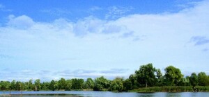 СЭС закрыла еще два озера: 7 пляжей Киева, где опасно купаться