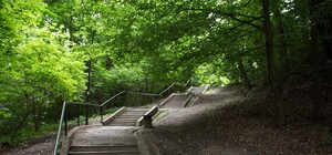 Новий Львів: як виглядатиме мікрорайон після реконструкції