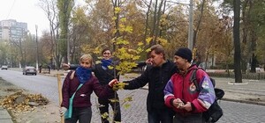 Высаживать деревья на Французском бульваре незаконно - решил Труханов