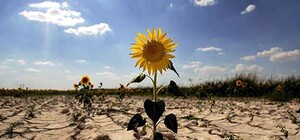 Киевлян приглашают на марш, чтобы привлечь внимание к изменению климата