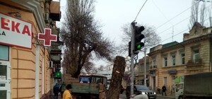 На Канатной вырубают деревья