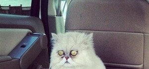 Как вырастут цены, зарплаты и доллар в 2016 году