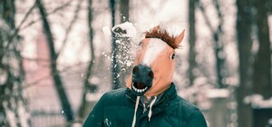 Готовь снежколеп: завтра в Киеве пройдет снежная битва