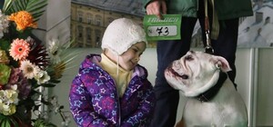 У  Львові пройшла виставка собак усіх порід (фото)