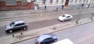 У Львові п'яний водій знищив сакури та платани (відео)