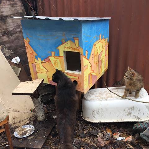 Одесские волонтеры построили котикам два домика. Фото: facebook.com/projectGladPet