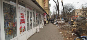 Возле Нового рынка на Торговой уничтожили живые деревья