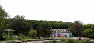 Катастрофа в забытом Дюковском саду: пруды гниют, парк разрушается