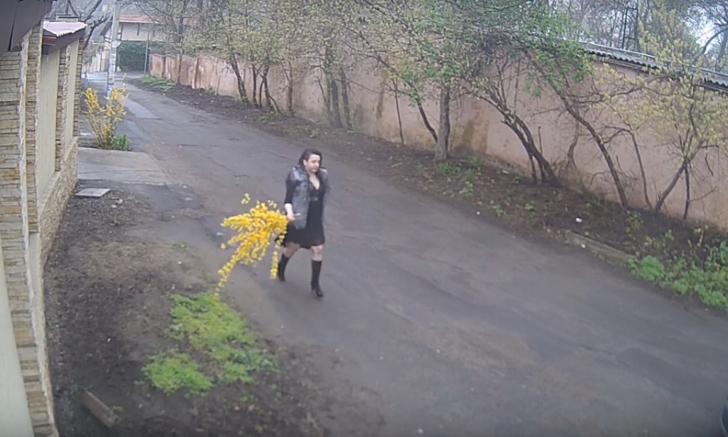 Новость - Люди города - Вижу цветы не вижу препятствий: одесситы сняли на видео, как женщина обрывает чужой куст