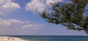 Гуляем от Золотого Берега до 10-й Фонтана: как одесские пляжи готовятся к лету