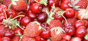 Отримай відповідь: чи безпечно купувати овочі та фрукти на львівських ринках