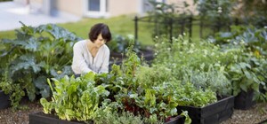 У Парку культури відкрили перший соціальний город: що це таке