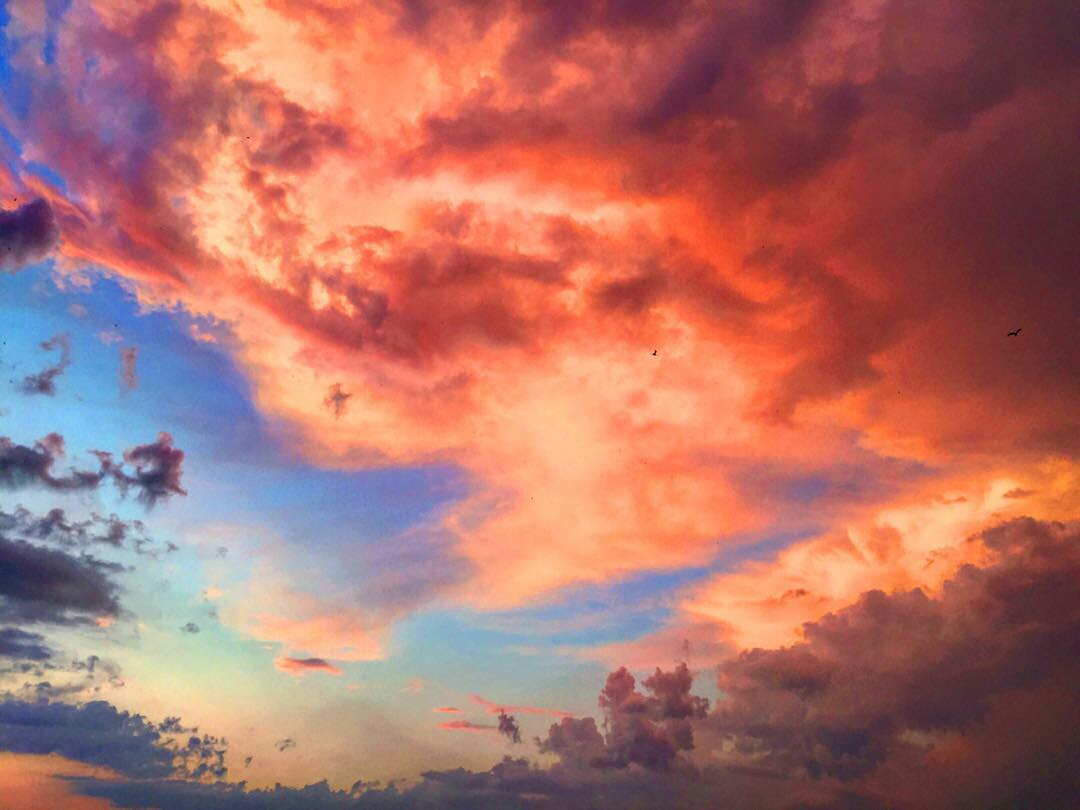 Фото: mazuren_co