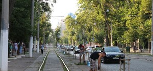 Одесситы самостоятельно спасают деревья на Французском от жары