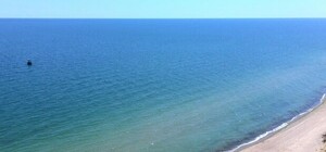 Зверское убийство в Одесской области: некрофилы вырезали жертве половые органы и закопали на пляже