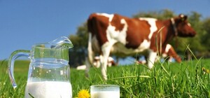 В супермаркетах Харькова протестировали молоко (результаты экспертизы)