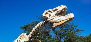 В парке Шевченко появился скелет тираннозавра