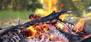 Что это значит: в Киеве объявлен высокий класс пожароопасности