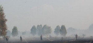 На Львівщині масово горять торф'яні поля