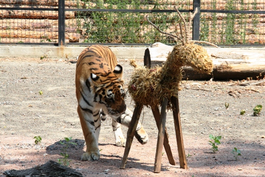 Фото: сайт Одесского зоопарка 