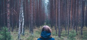 Тем временем в Кривом Роге: дети нашли человеческие кости