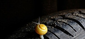 Свобода водителям: зимой в Крыму не будут штрафовать за летнюю резину