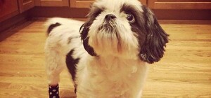 2 кило гречки, одно одеяло и никаких носков: это новая потребкорзина украинца