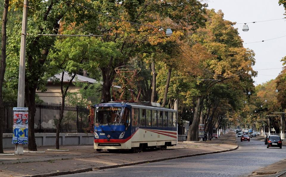 Новость - События - Одесситы спасают Французский бульвар: там появилось 40 новых деревьев